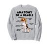 Beagle Anatomy Sweatshirt