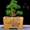 Manyuanhong Zisha Square Bonsai Pot