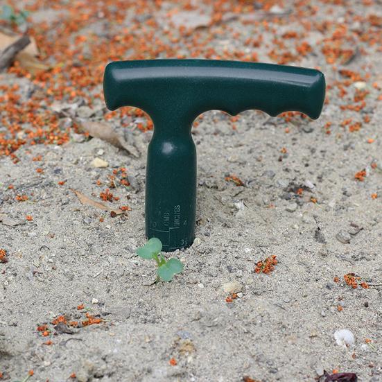 1 Set Seeds Spreader Mini Seeds Tool Dispenser Seedlings Planter Sowing Manual Seedlings Dibber