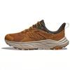 Кроссовки Anacapa 2 Low Gore-Tex Honey Barley Unisex 1141632-HLY