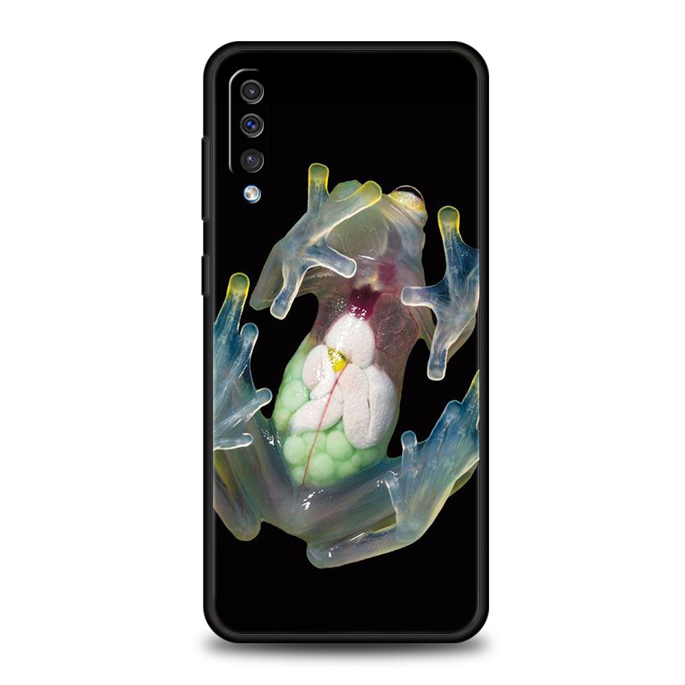 Чехол для телефона Samsung Galaxy A56 A36 A26 A06 A16 A24 A36 A54 A14 A42 A22 A20 A12 A10 5G Мягкий ТПУ Чехол Реалистичный Принт Лягушки Сумки