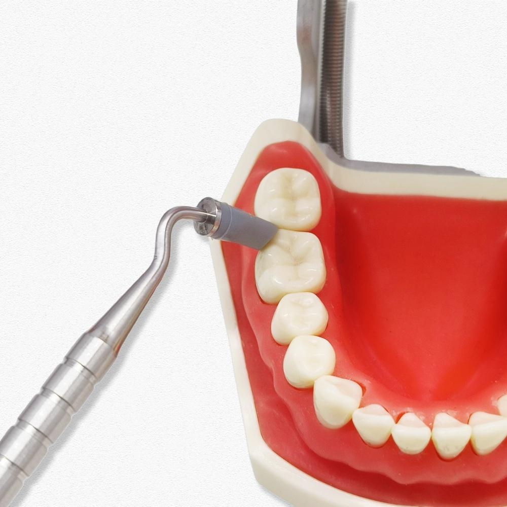 1 набор Зубные кисти из смолы Ручки Ручка из нержавеющей стали Формирующая Силиконовая Мягкая Головка Инструменты для адгезии Для Фарфоровых Зубов Композитный Цемент