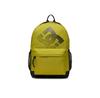 Рюкзак DC C-DCI-P-004-08 зелёный