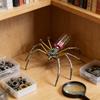 Стимпанк Механическая Модель Паука Стимпанк 3D Металлический Паук Украшение DIY Пазл Набор для Сборки Паука Подарок для Детей Взрослых Любителей Пауков