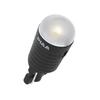 PIAA Car Lamps Bulbs Plate LED Bulb T10 6500K 60lm Series Vehicle Inspection Compliant Omnidirectional Diffusion Lens HS103 (Pia) & -