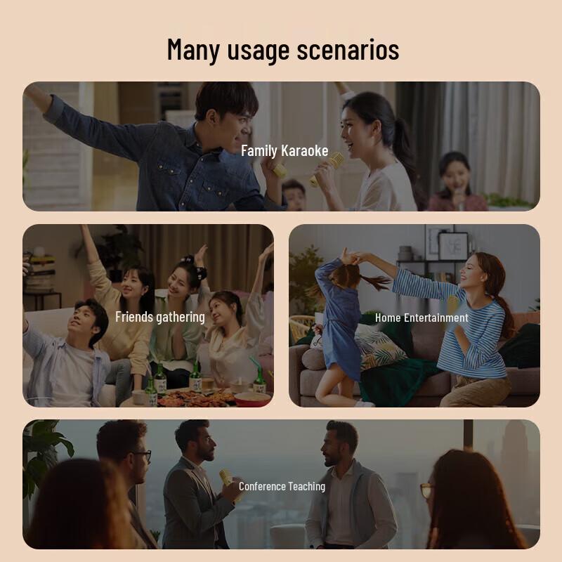 Dianyin SongBird-SE Home Karaoke Bluetooth Speaker with Dual Microphones