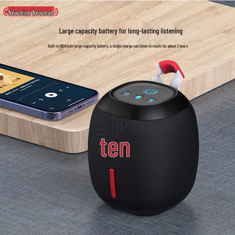 Портативная беспроводная Bluetooth-колонка Newmine BT86, штекер CN (адаптер в комплекте) (Китайская версия)