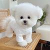 Dog Bottoming Shirt Autumn and Winter Knitted Thickened Cute Versatile Bottoming Teddy Bear Cat Inner Top