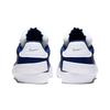 Nike Drop Type PRM Low top Kids' Skateboarding Shoes Blue White Teenagers Sneakers CQ4383-400