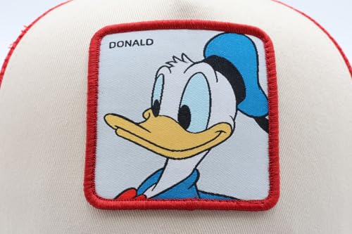 Сетчатая кепка с нашивкой Disney DDN-MCP04
