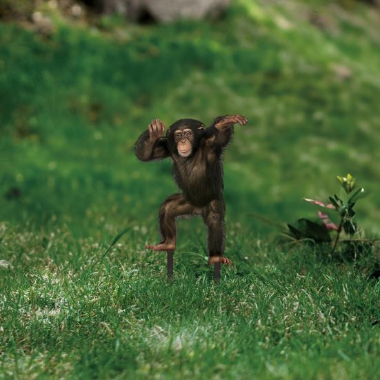 Акриловые садовые колышки Забавные фигурки животных для газона Енот Горилла Легко вставляемые садовые колышки для цветников Ландшафт