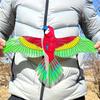New DIY Toy Cartoon 35cm Large Eagle Kites Flying Bird Kites Plastic Eagle Kite