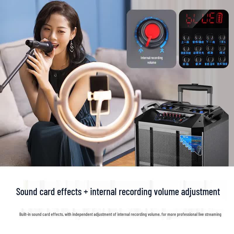 SAST SA-165 15-дюймовая мощная портативная Bluetooth-колонка на колесиках (Китайская версия)