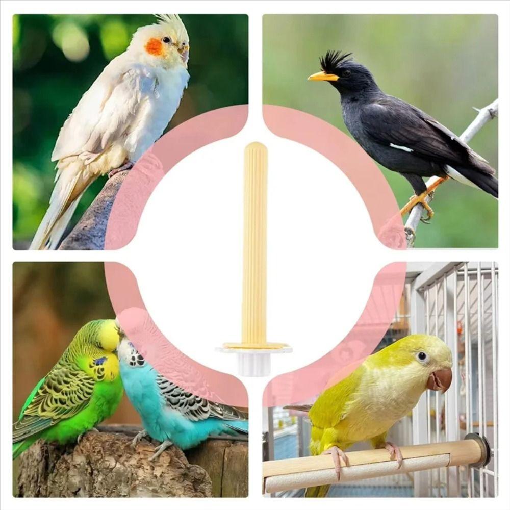 Non-slip USB Heated Bird Perch Easy To Install Bird Cage Warmer Stick  Peony Parakeet