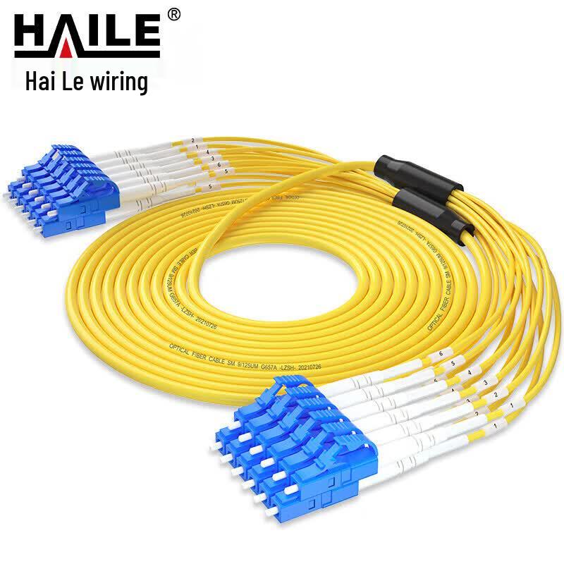 HAILE Single-Mode 12-Core LC-LC Fiber Optic Patch Cable