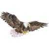 Vinyl Bald Eagle Wall Stickers Removable Peel and Stick Bird Animal Wall Decals  Living Room