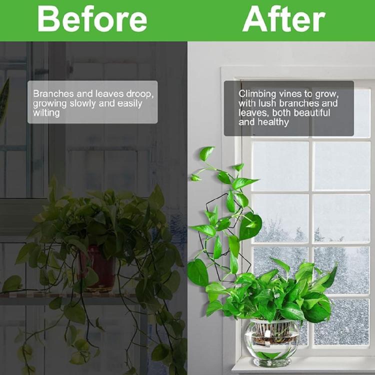 Easy Install Metal Plant Cage Fit for Home Gardening Creepers Climbing Garden Support Enhances Garden Plant Health