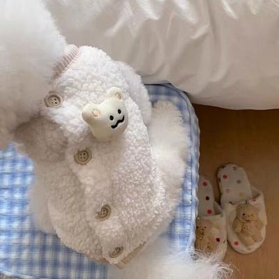 Домашние животные Осень Зима Жилет из овечьей шерсти Жилет для собак Плюшевые мишки Кошка Собака Одежда Утолщенная теплая Одежда для домашних животных Одежда для собак для маленьких собак