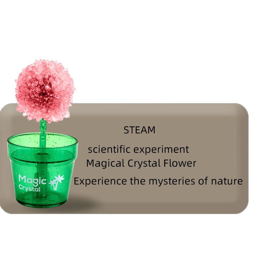 Colored Crystals Crystal Trees Growing Kit Flower Shaped Crystal Making Kit Girls