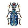Fashionable Retro Insect Inlaid Diamond Brooch, Sweater Jacket Brooch