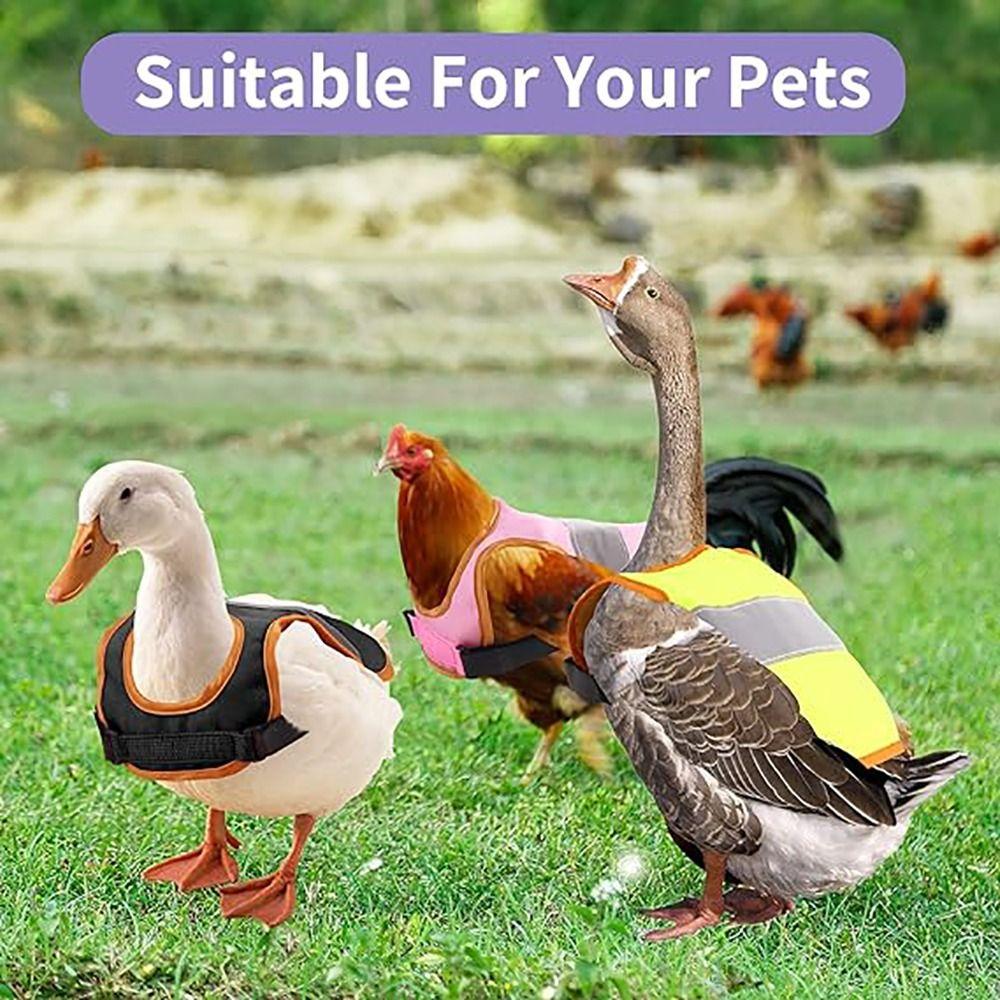 Feather Protection Hen Reflective Vest Breathable Chicken Saddle Accessories Chicken Vest