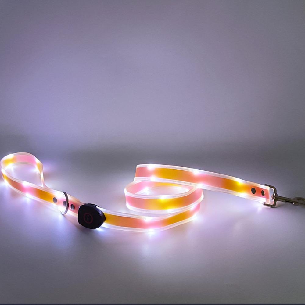 Водонепроницаемый ошейник для собаки с поводком, перезаряжаемый светящийся ошейник для собаки, ошейник на шею для собаки для ночных прогулок