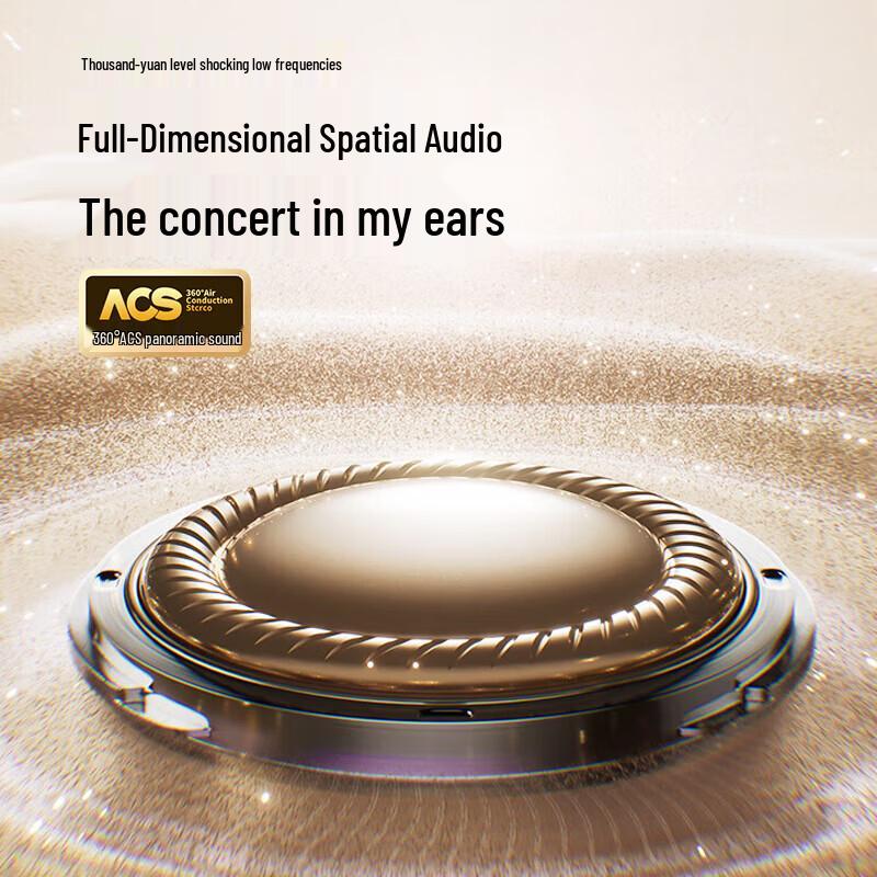 Philips TAQ2320 Ear-Clip Sports Bluetooth Earbuds