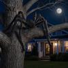 Realistic Spider Prop Halloween Decoration, Large Fake Furry with Red Plush Toy Eyes for Outdoor Indoor Yard Home Party Haunted House Decor