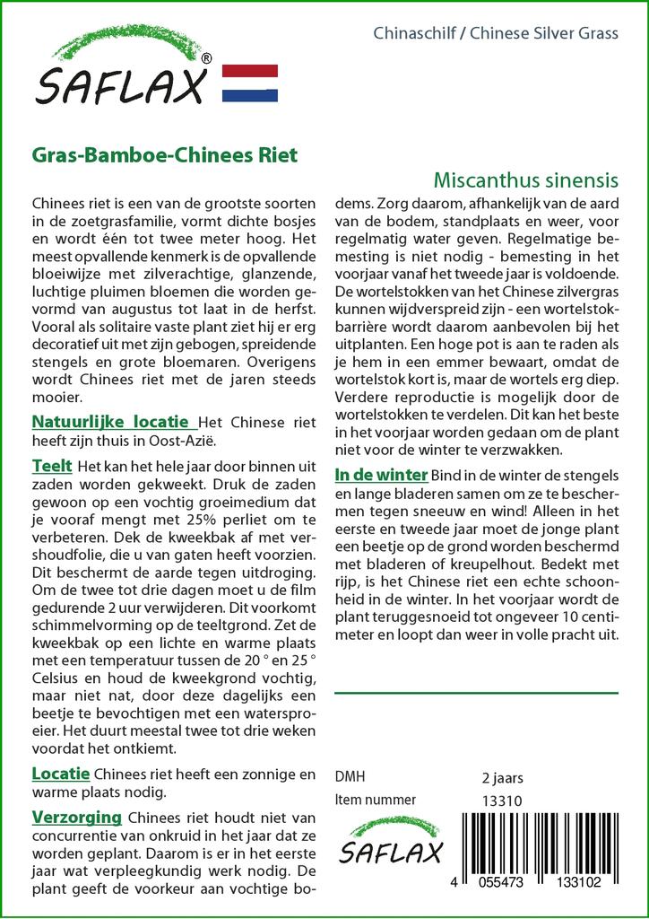 SAFLAX Китайская серебристая трава - 200 семян - Miscanthus sinensis