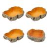 Resin Reptile Feeder Climbable Amphibian Feeding Bowl Tortoise Water Dish  Tortoise