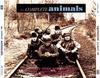 CD ANIMALS - Complete Animals  CDS7946132 EMI 2010 Europe Rock Used