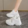 Korean Version Lace-up Sports Women's Shoes, Trendy Breathable Shoes, Platform Mesh Shoes, Casual and Versatile Shoes