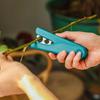 Удаление шипов роз Удаление шипов DIY Режущий инструмент Удаление веток Садовые инструменты для цветов Садовые ножницы Ручные инструменты