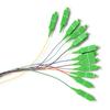 Qoltec 12 x Pigtail światłowodowy SC/APC | Singlemode | G652D | 2m