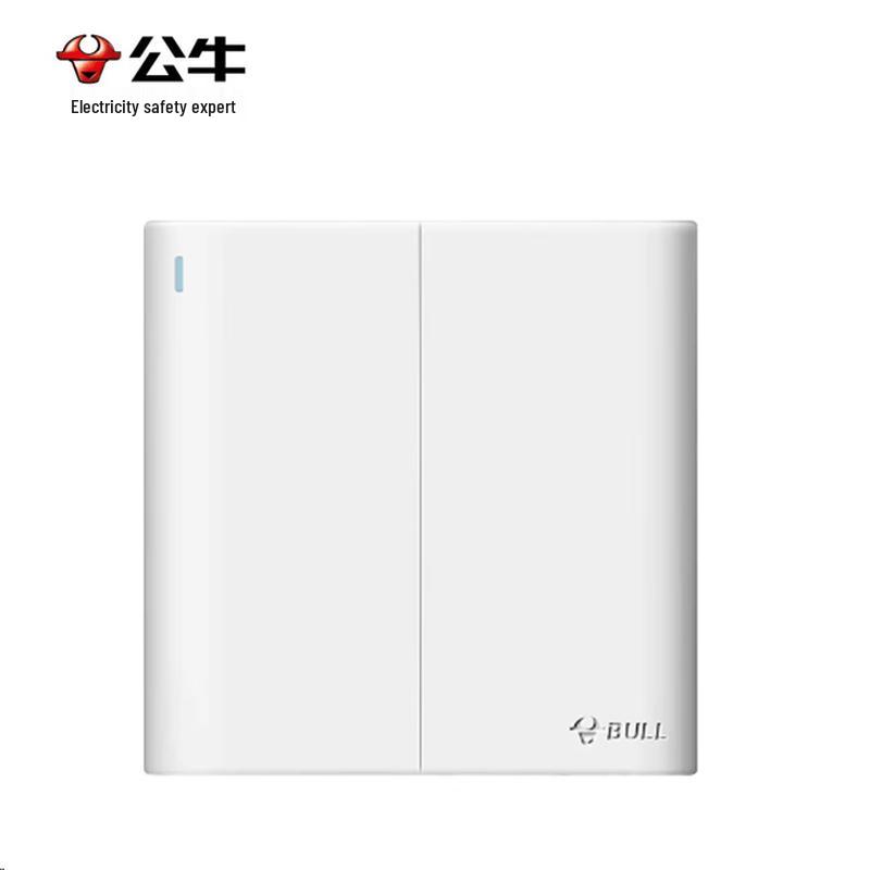 Bull G25 Series Wall Switch