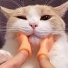 Новая кошачья лапа креативная игрушка для дразнения питомца tpr растягивающаяся высокая эластичность кошачьи перчатки поддельные ножницы рука палец дразнилка для кошки