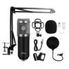 Studio and streaming microphone MT397S silver
