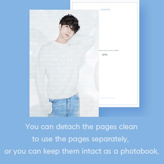 Seventeen КОРОБКА ДЛЯ ДНЯ РОЖДЕНИЯ MINGYU ВЕР.2