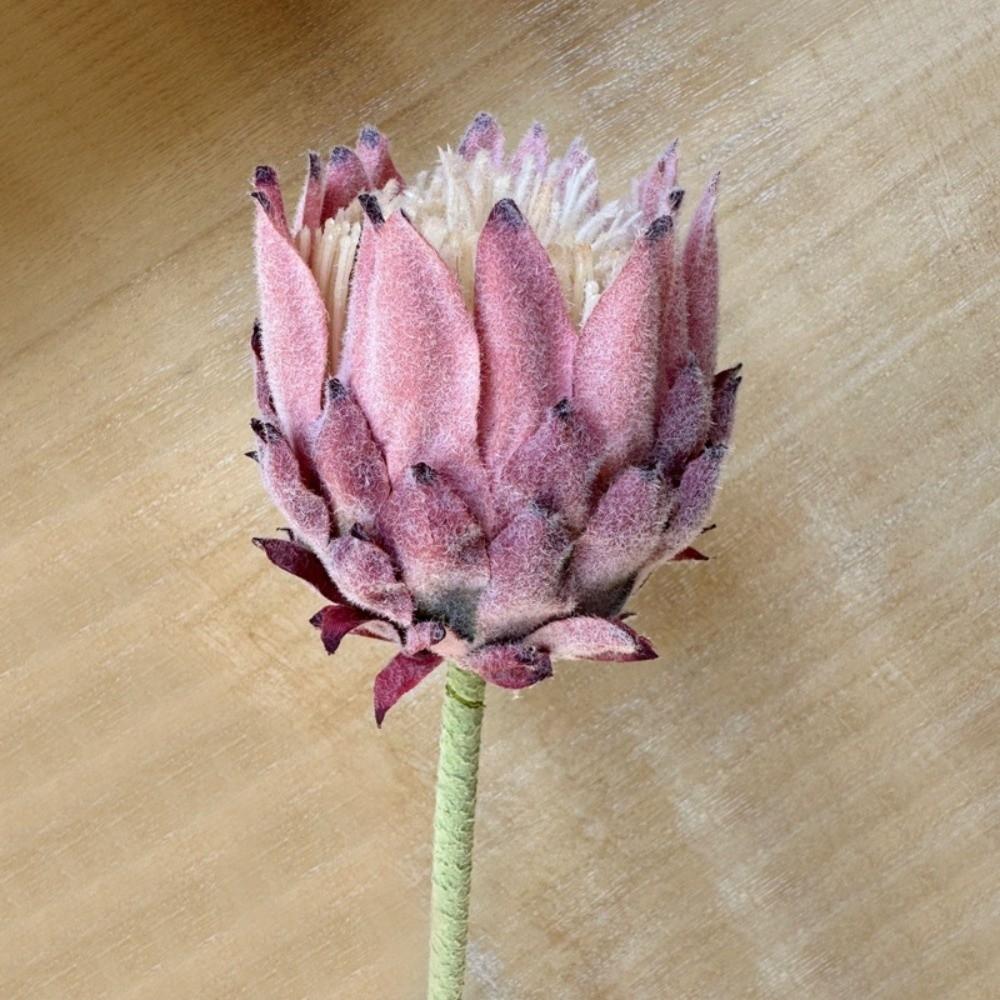 Multicolor Artificial Artichoke Flower Large Size Nordic Thistle Flower  Home Decoration