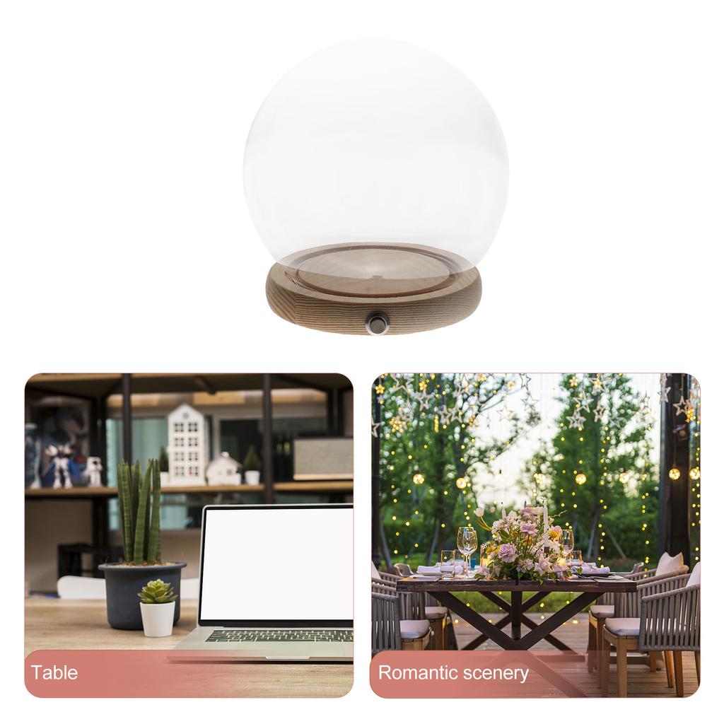 Стеклянная крышка ручной работы, прозрачный купол, витрина, домашний декор, небольшое украшение, консервированный цветок