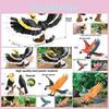 Wildlife Animal Model Solid Plastic Parrot Bird Display Figure For Kids Playroom Decor