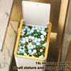 12/15L bathroom trash can garbage can trash can kitchen trash cubo basura cocina cubo basura NoEnName_Null
