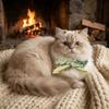 Comfortable Dog Collar Plaid Pattern Cat Neck Wear Pet Accessories Pet Cat Scarf  Take Photos
