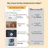 BEAR Портативная машина для изготовления ледяных шариков C01C5