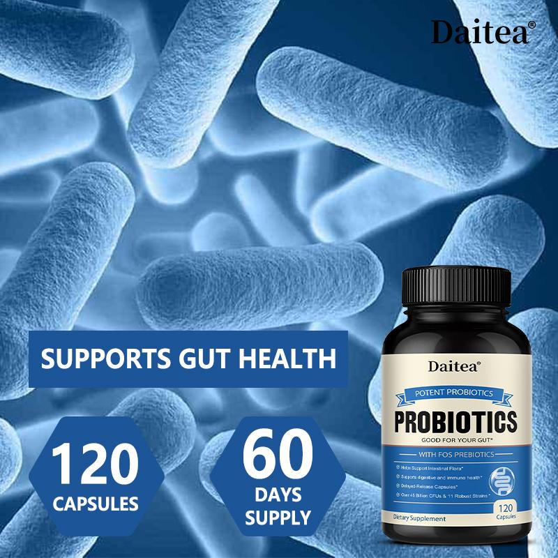 Potent Probiotics Dietary Supplement, With Prebiotic, 120 Capsules Per Bottle