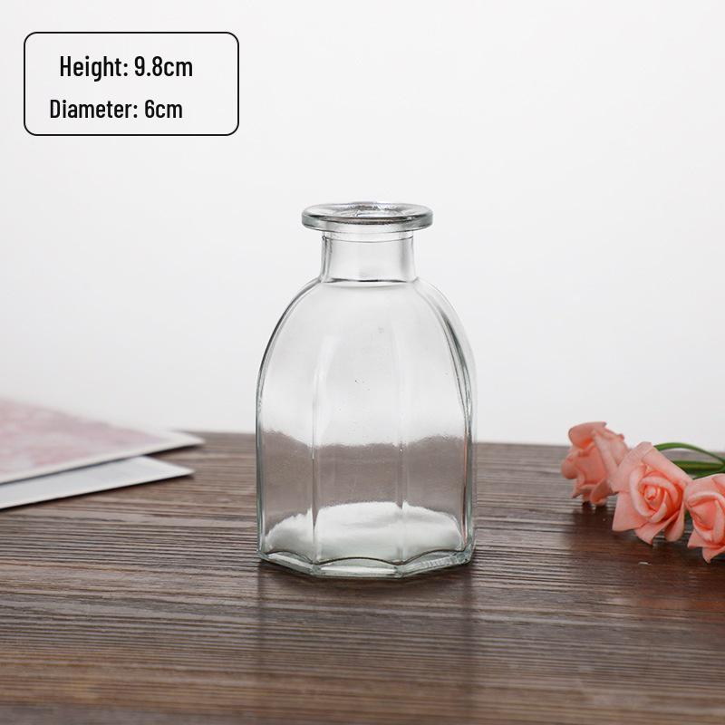Small French Retro Glass Hydroponic Vase for Home Decor