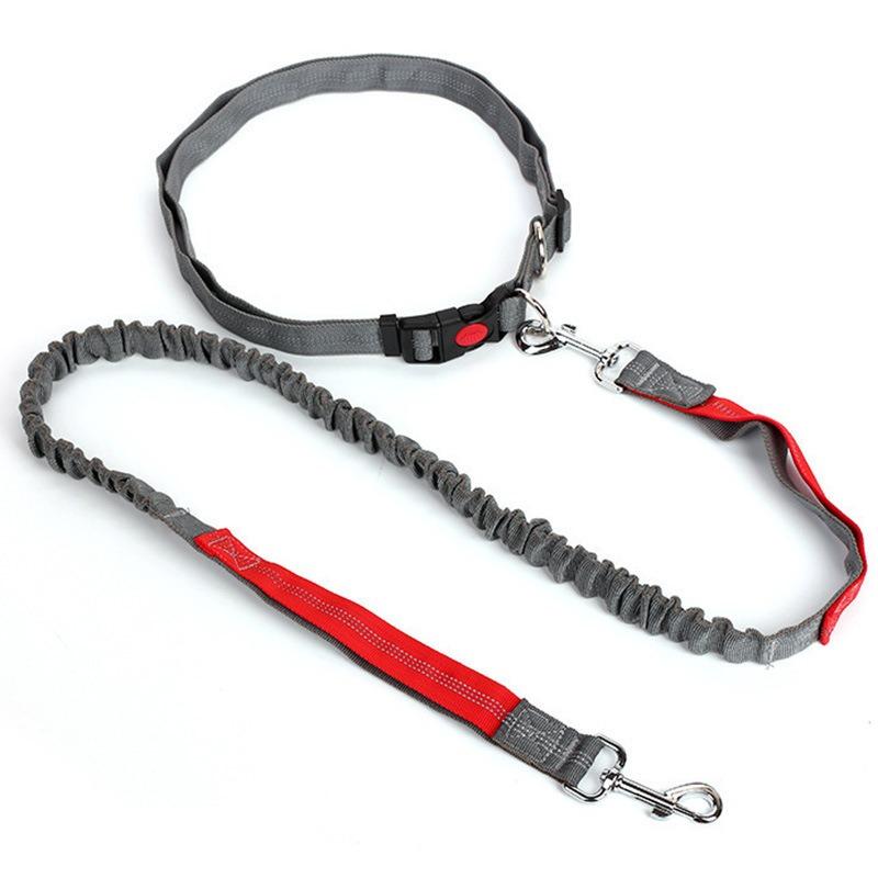 Pet Supplies Explosion-proof Stretchable Nylon Belt, Dog Walking and Running Leash, Multi-functional Dog Collar