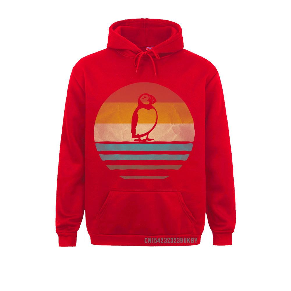 Толстовки с капюшоном в стиле ретро, ​​винтажные толстовки унисекс с закатом, тупиком, птицей, морской птицей, милые, забавные, премиум-класса, толстовки унисекс с длинными рукавами, обычный райф