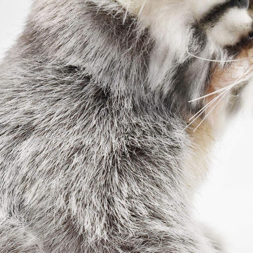 HANSA BH7299 HANSA Манул кот щенок 31