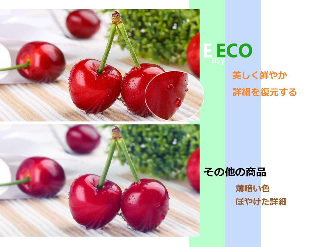 EasyECO Epson IB07 Ink Cartridge 4 Color Set 1BK Ginkgo Ink IB07CL4B Compatible Ink Compatible with the Latest IC Chip Remaining Amount Display